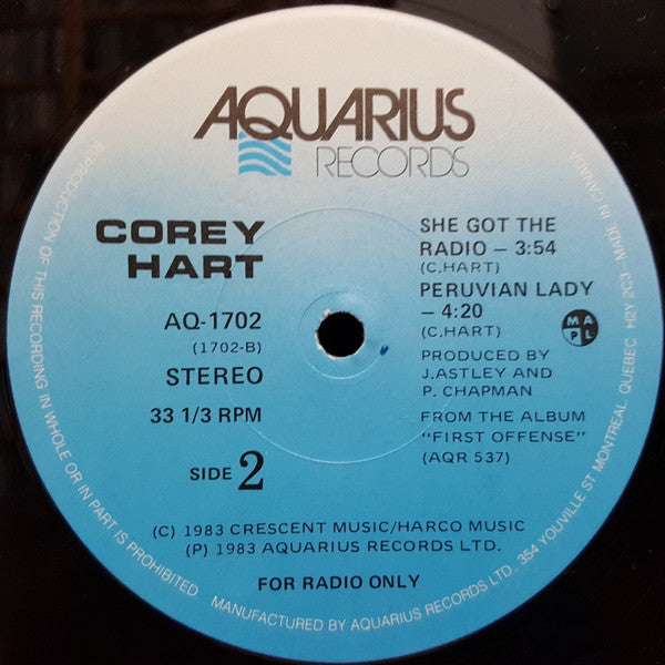 Sunglasses At Night Corey Hart