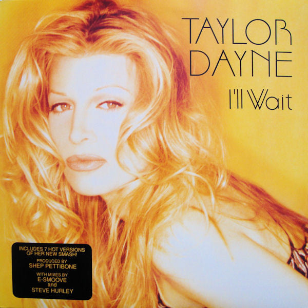 I'll Wait Taylor Dayne