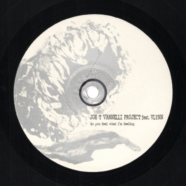 Do You Feel What I'm Feeling Joe T. Vannelli Project,Vlynn