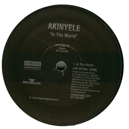 In The World Akinyele