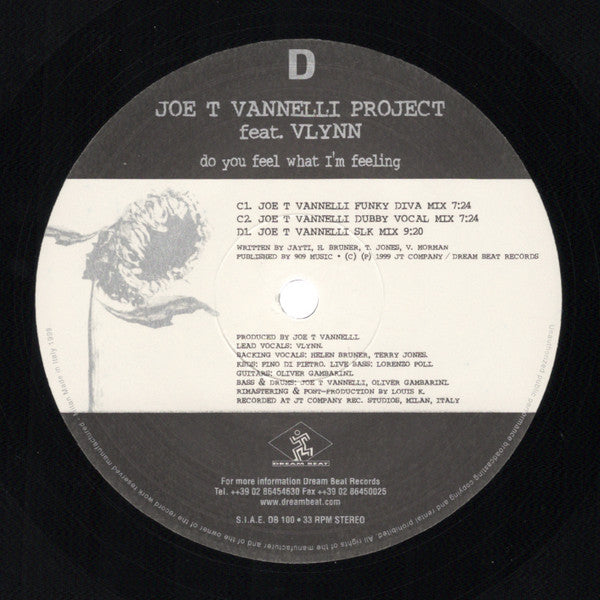 Do You Feel What I'm Feeling Joe T. Vannelli Project,Vlynn