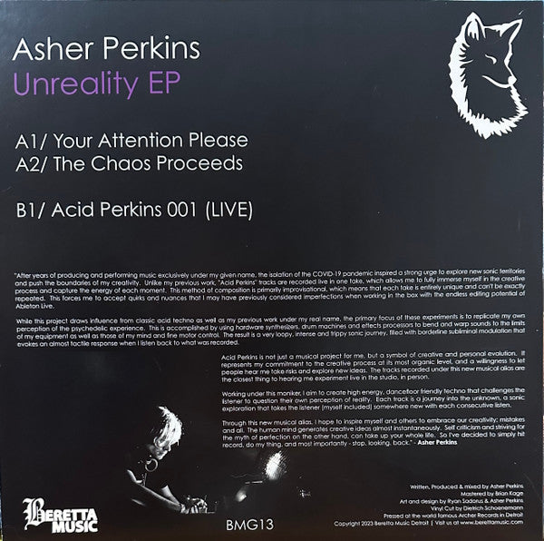 Unreality EP Asher Perkins