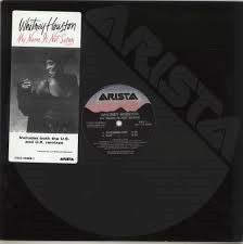 My Name Is Not Susan Whitney Houston