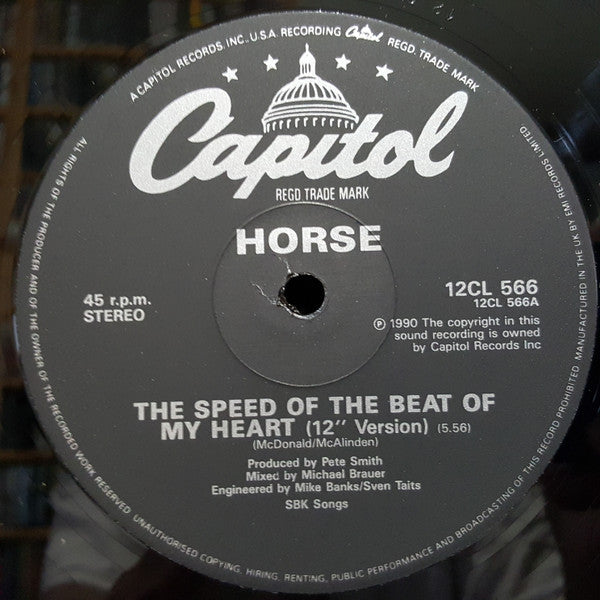 The Speed Of The Beat Of My Heart Horse (3)