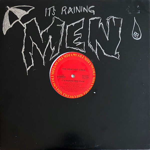 It's Raining Men The Weather Girls