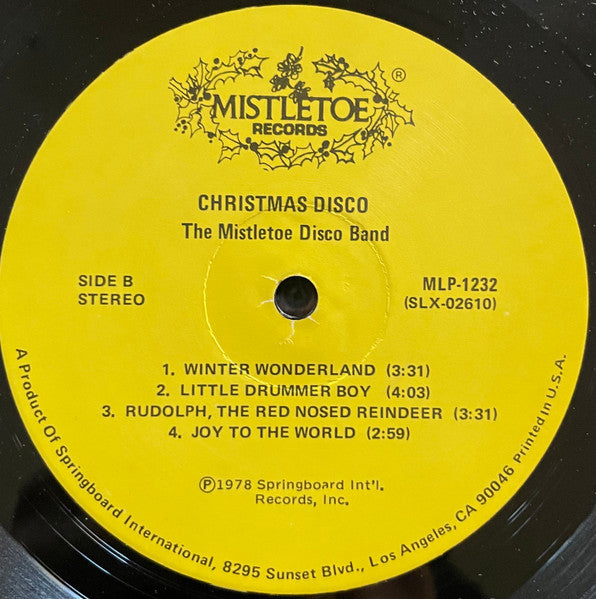 Christmas Disco The Mistletoe Disco Band