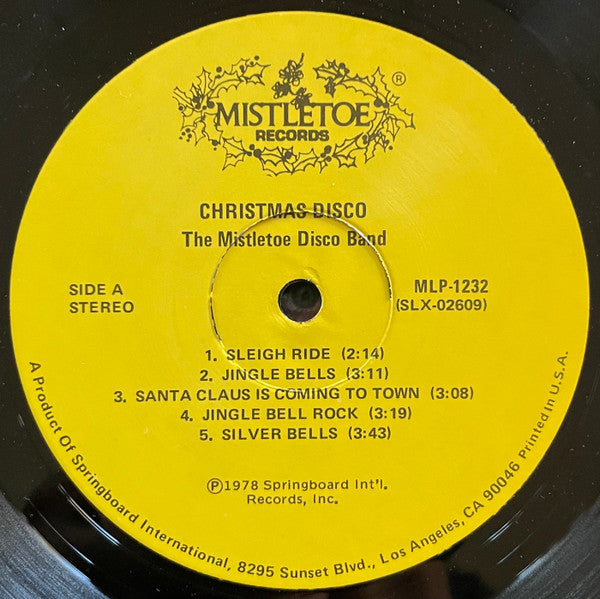 Christmas Disco The Mistletoe Disco Band