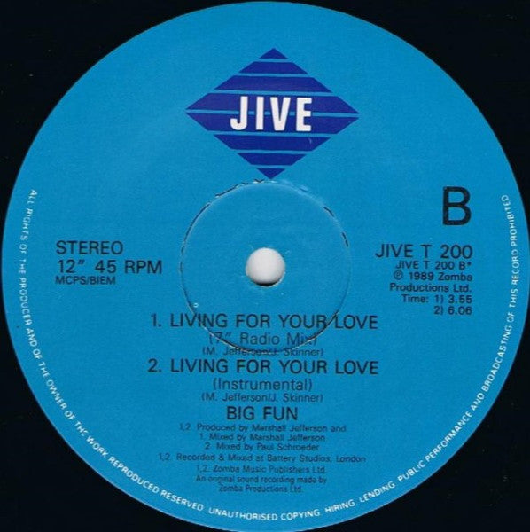 Living For Your Love Big Fun