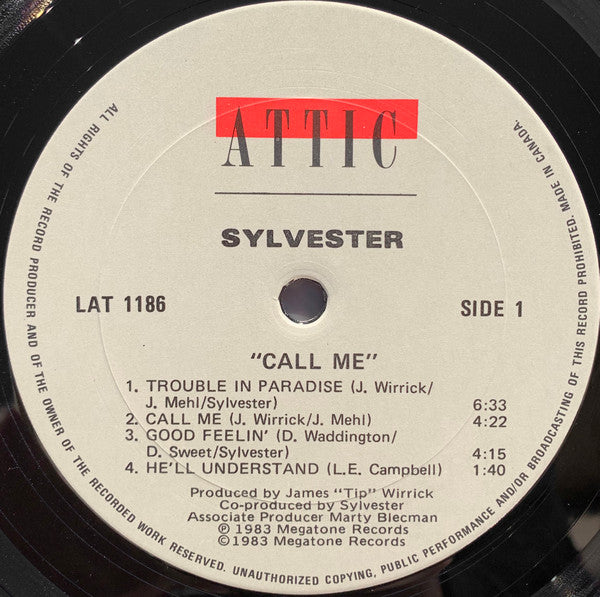 Call Me Sylvester