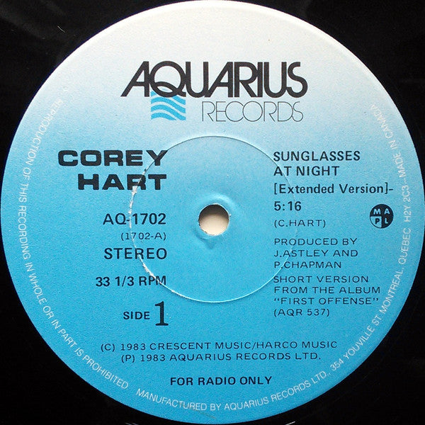 Sunglasses At Night Corey Hart