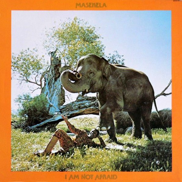 I Am Not Afraid Hugh Masekela