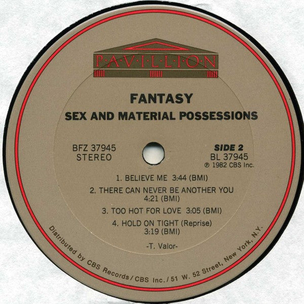 Sex And Material Possessions Fantasy (2)