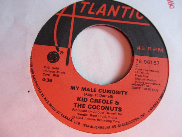 Kid Creole And The Coconuts - My Male Curiosity
