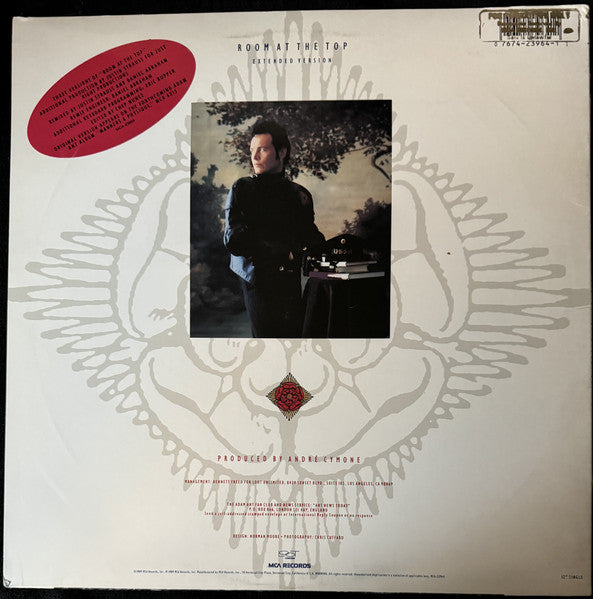 Room At The Top (Extended Version) Adam Ant