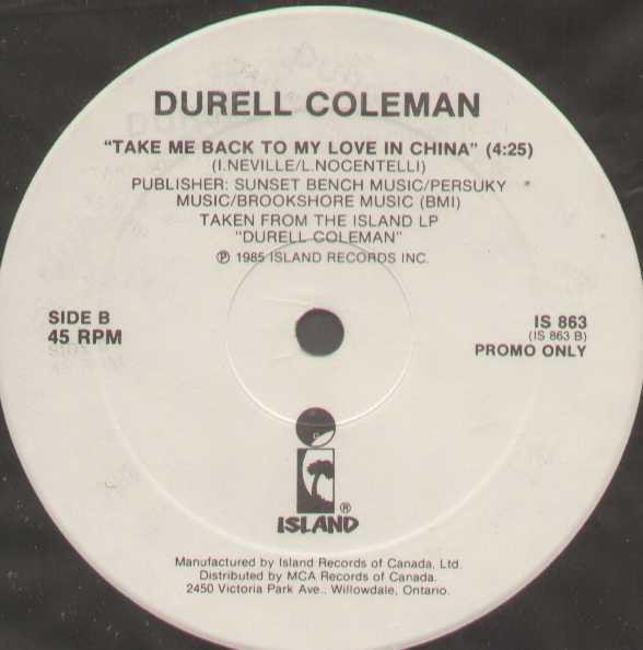 I Didn't Mean To Turn You On / Take Me Back To My Love In China Robert Palmer,Durell Coleman