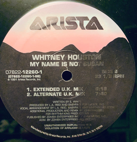 My Name Is Not Susan Whitney Houston