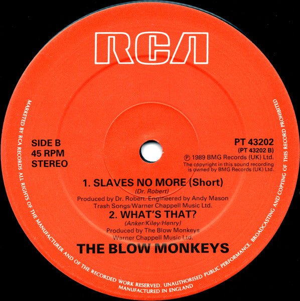 Slaves No More The Blow Monkeys,Sylvia Tella