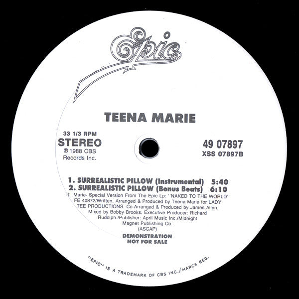Surrealistic Pillow Teena Marie