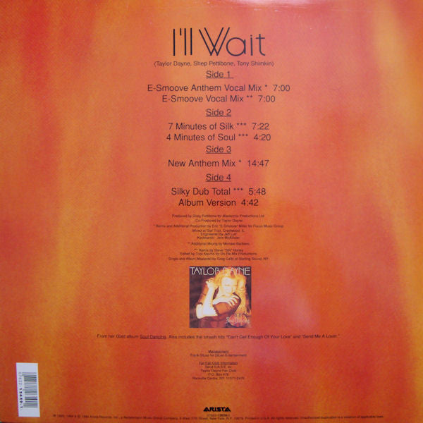 I'll Wait Taylor Dayne