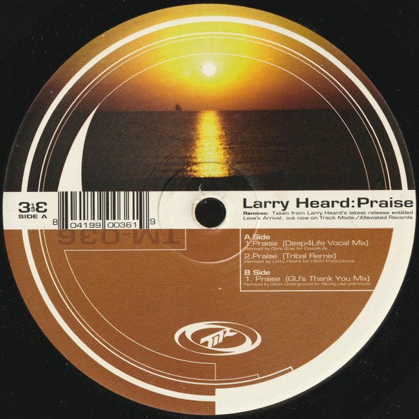 Praise Larry Heard