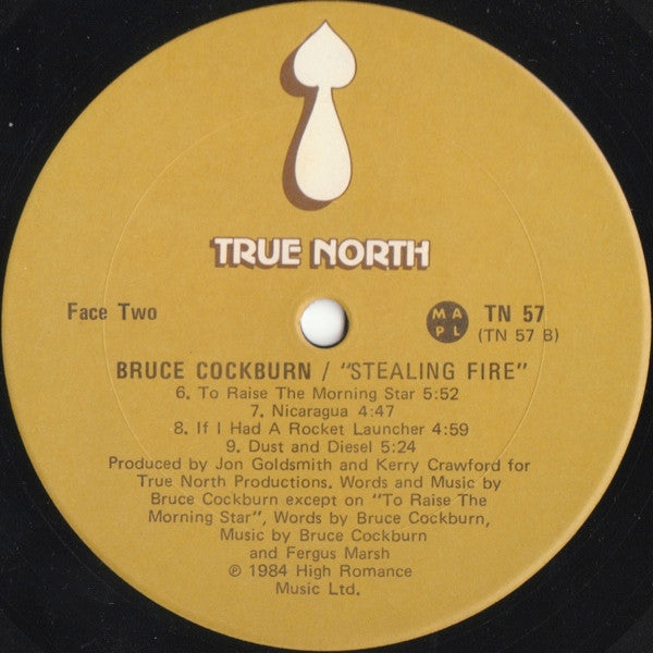 Stealing Fire Bruce Cockburn