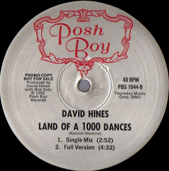 Land Of A 1000 Dances David Hines