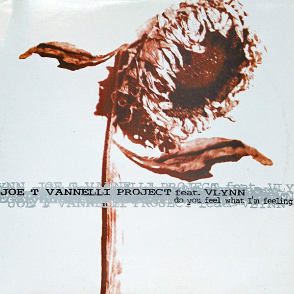 Do You Feel What I'm Feeling Joe T. Vannelli Project,Vlynn