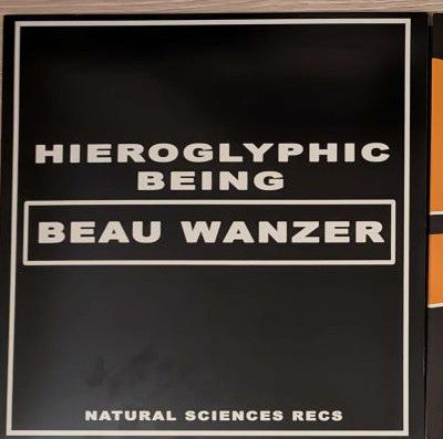 4 Dysfunctional Psychotic Release & Sonic Reprogramming Purposes Only Beau Wanzer,Hieroglyphic Being