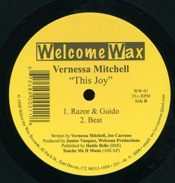 This Joy Vernessa Mitchell