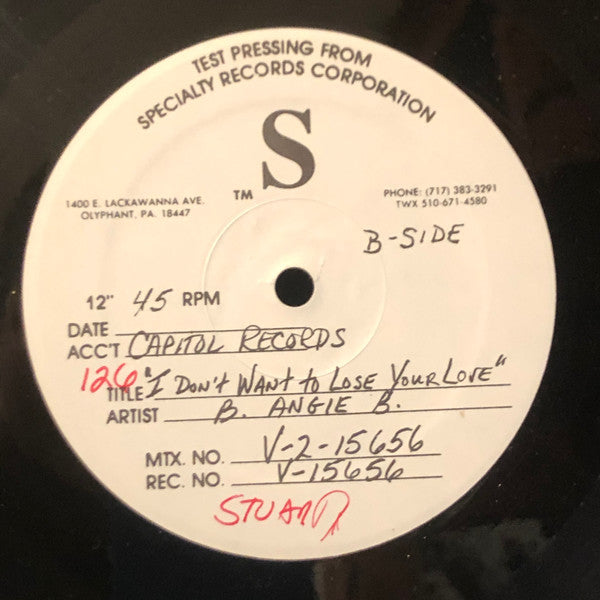 I Don't Want To Lose Your Love B Angie B
