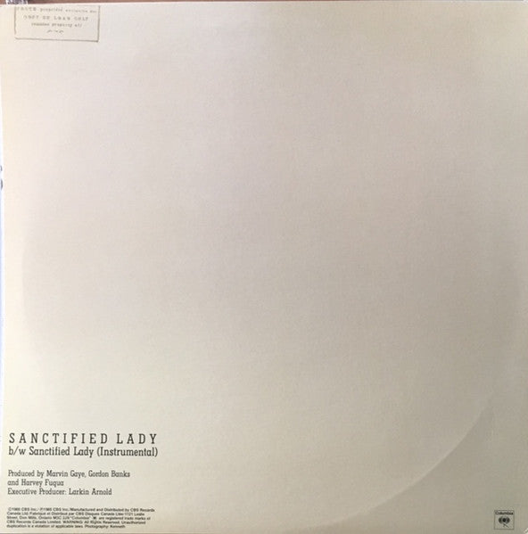 Sanctified Lady Marvin Gaye