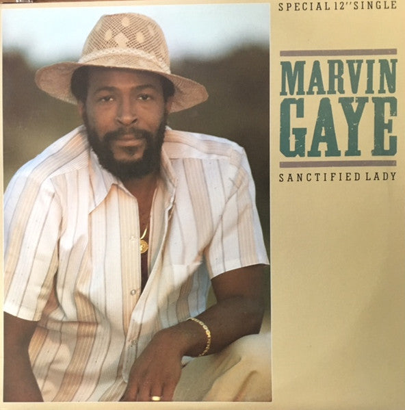 Sanctified Lady Marvin Gaye