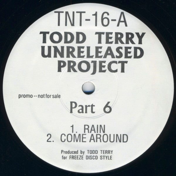 Unreleased Project Part 6 Todd Terry