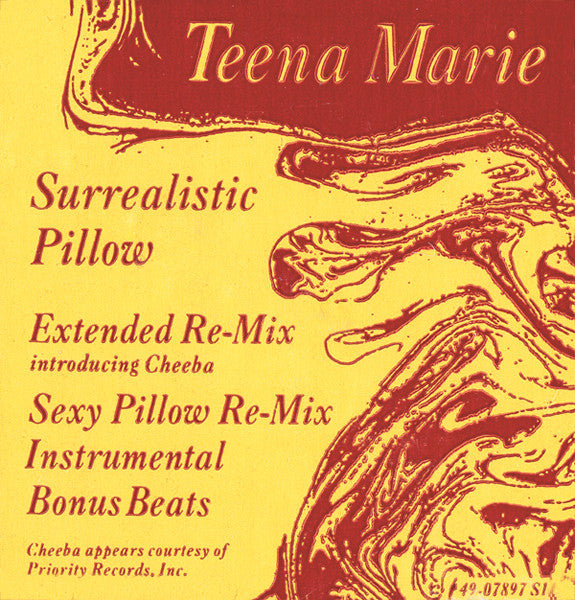 Surrealistic Pillow Teena Marie