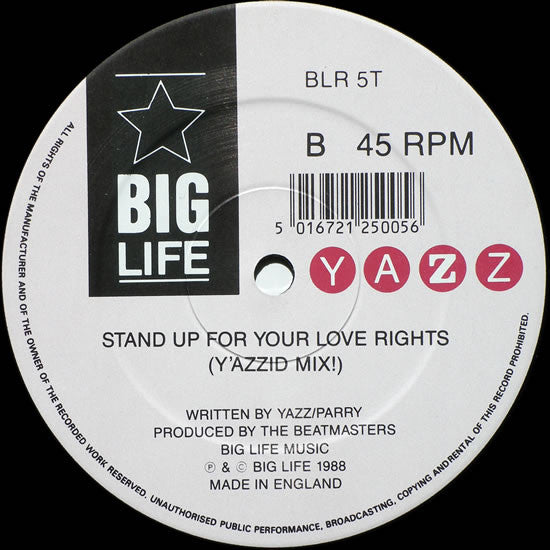 Stand Up For Your Love Rights Yazz