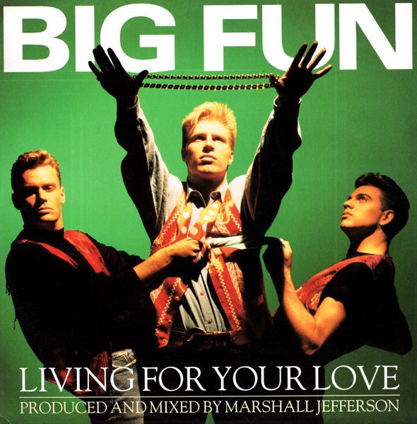 Living For Your Love Big Fun