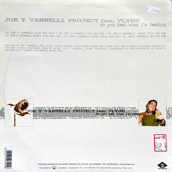 Do You Feel What I'm Feeling Joe T. Vannelli Project,Vlynn