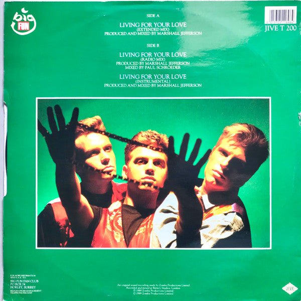 Living For Your Love Big Fun