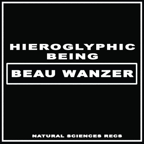 4 Dysfunctional Psychotic Release & Sonic Reprogramming Purposes Only Beau Wanzer,Hieroglyphic Being