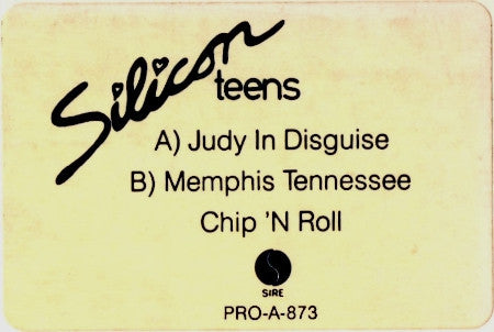 Judy In Disguise Silicon Teens