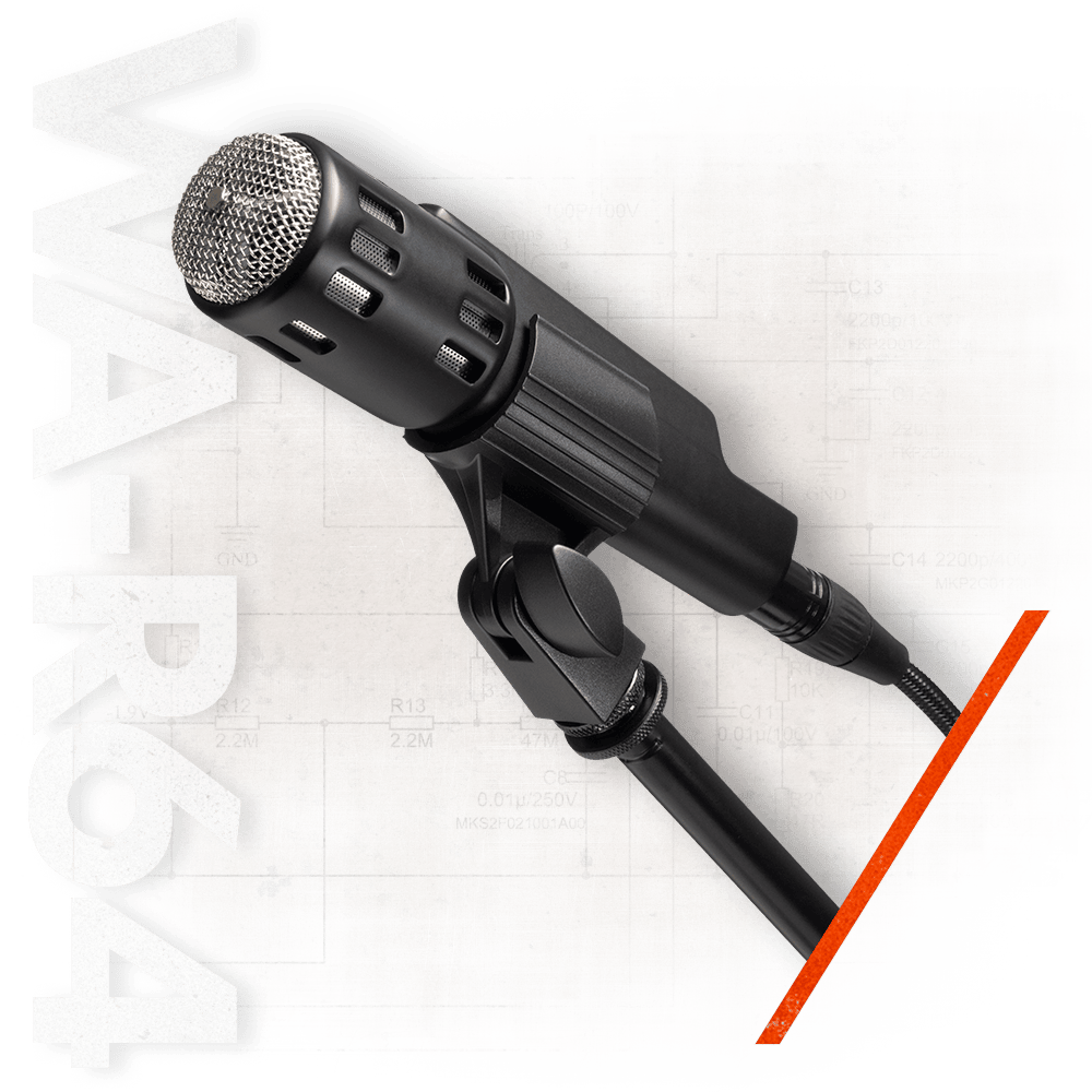 Warm Audio Dynamic Cardioid Vocal/Instrument Handheld Microphone for Vocals and Instruments, Black 