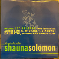 Rectangle Triangle Whatcha Gonna Do (Remixes) music album cover featuring colorful abstract artwork and remix titles.