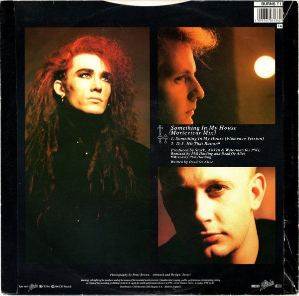 Something In My House (Mortevicar Mix) Dead Or Alive