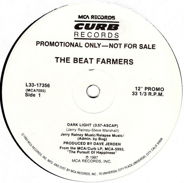 Dark Light The Beat Farmers