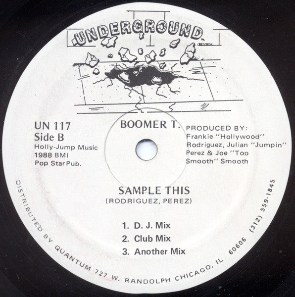 Sample This