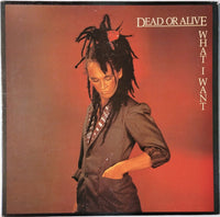 Dead Or Alive - What I Want, 12" vinyl, on Epic (1983)