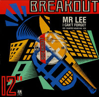 Mr. Lee - I Can't Forget (Haunted House Mix)