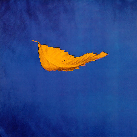 True Faith / 1963 | Rectangle Triangle