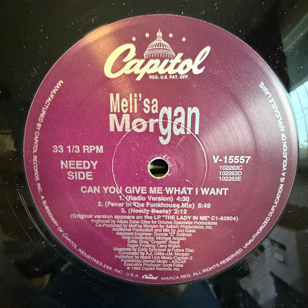 Can You Give Me What I Want Meli'sa Morgan