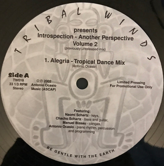 Introspection - Another Perspective Volume 2